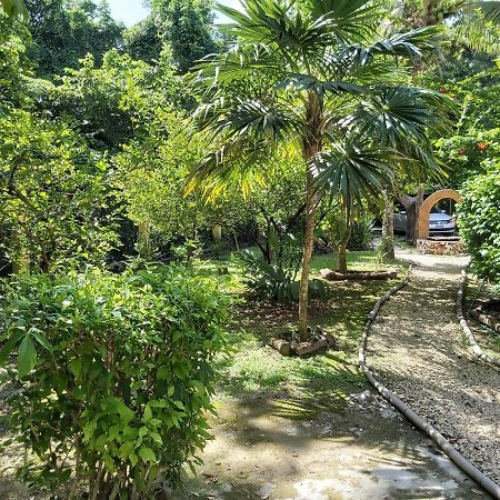 코수멜 Mini Pini Bird Watching And Cenote Loft 빌라 외부 사진
