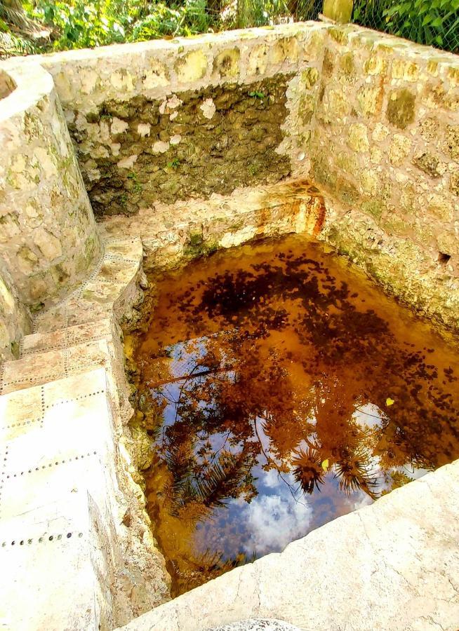 코수멜 Mini Pini Bird Watching And Cenote Loft 빌라 외부 사진