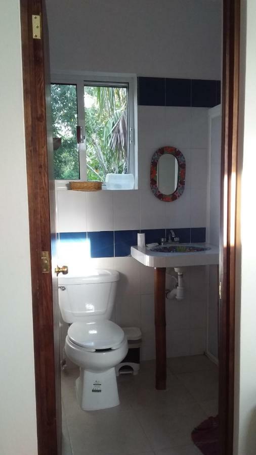 코수멜 Mini Pini Bird Watching And Cenote Loft 빌라 외부 사진
