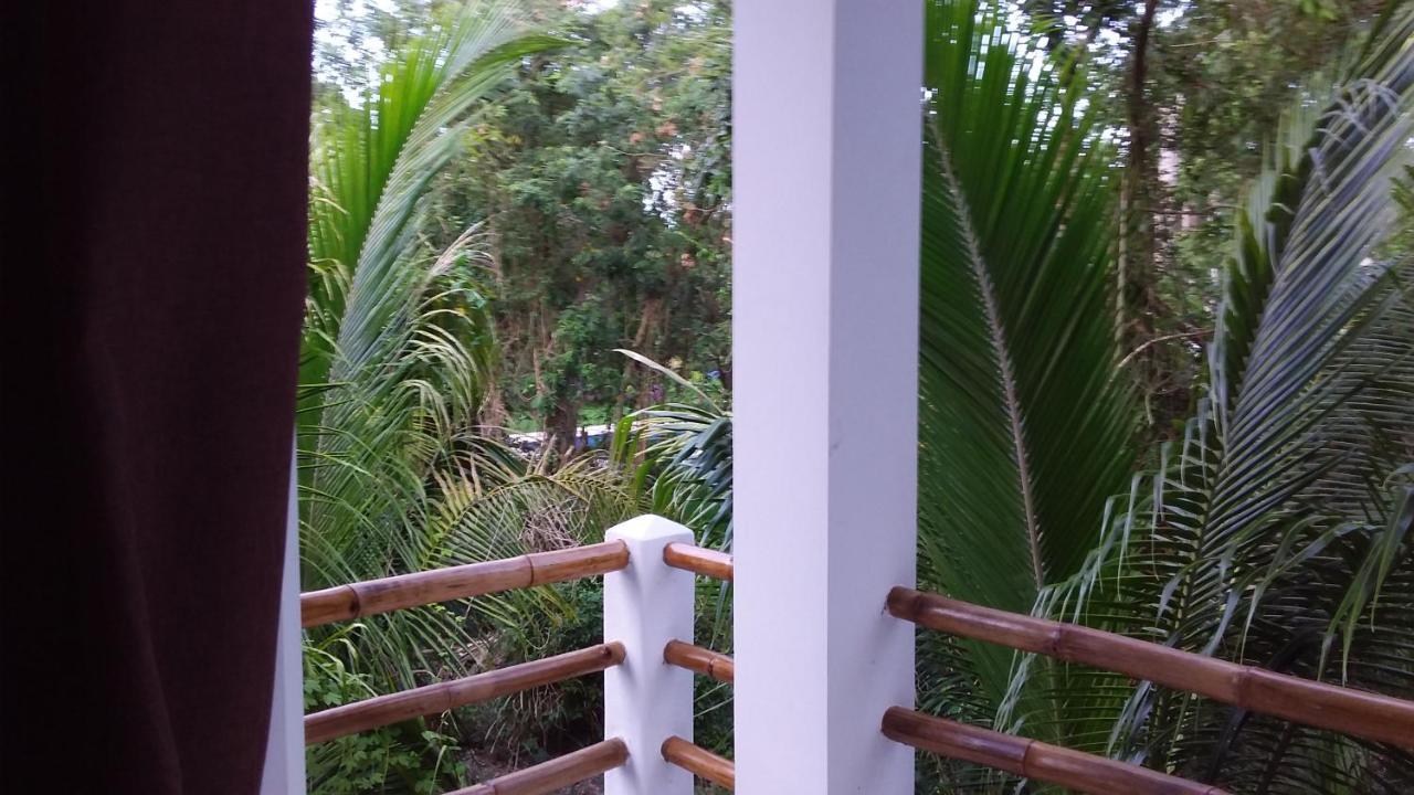 코수멜 Mini Pini Bird Watching And Cenote Loft 빌라 외부 사진