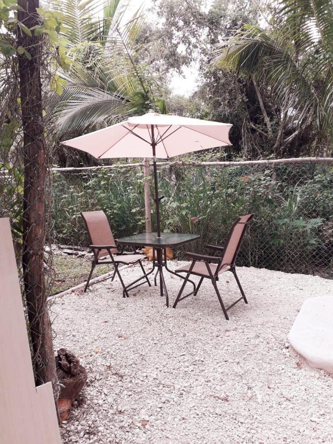 코수멜 Mini Pini Bird Watching And Cenote Loft 빌라 외부 사진