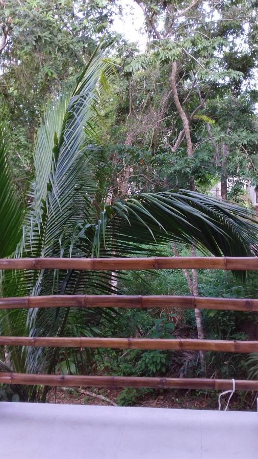 코수멜 Mini Pini Bird Watching And Cenote Loft 빌라 외부 사진