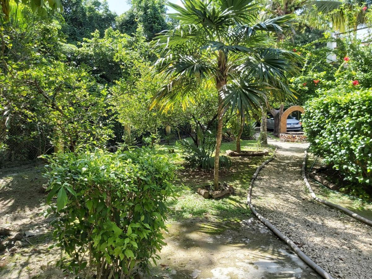 코수멜 Mini Pini Bird Watching And Cenote Loft 빌라 외부 사진